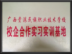 广西贵港民族职业技术学校